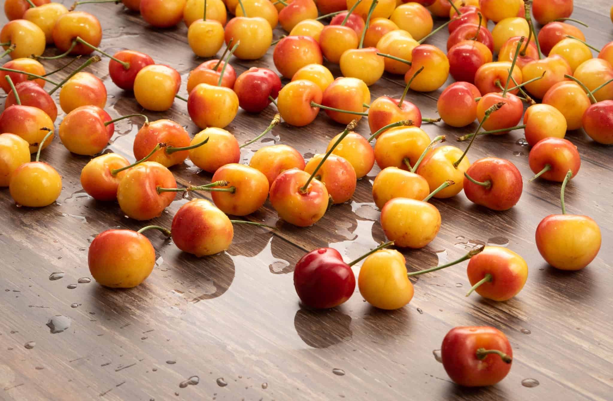 stemilt-rainier-cherries-studio-wet-2800 - Stemilt