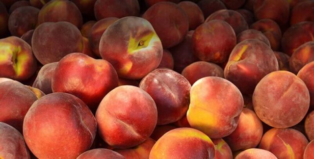 all-about-peaches