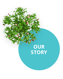 Our Story