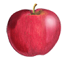tree apple