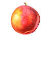 tree peach