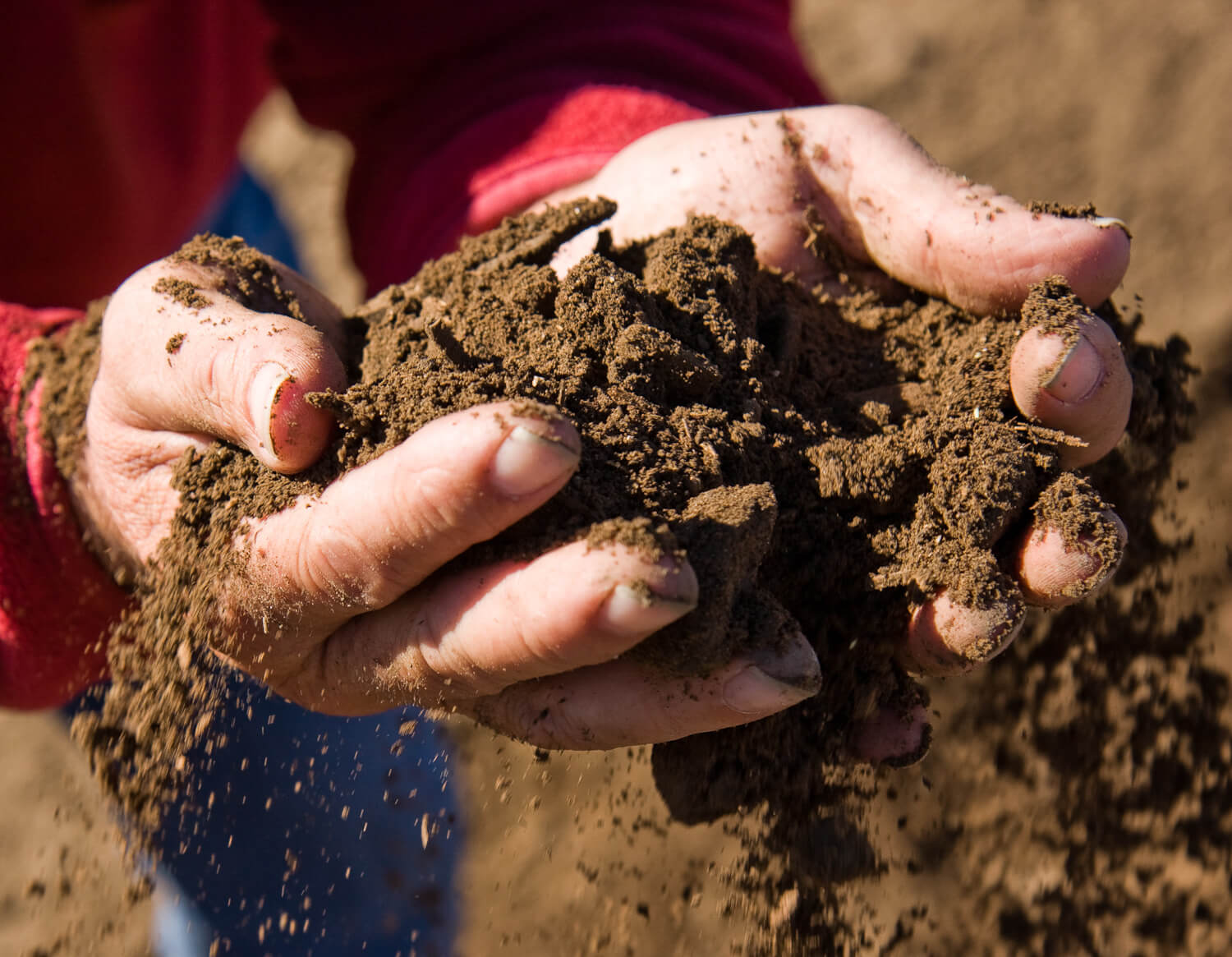 Making World Famous Compost