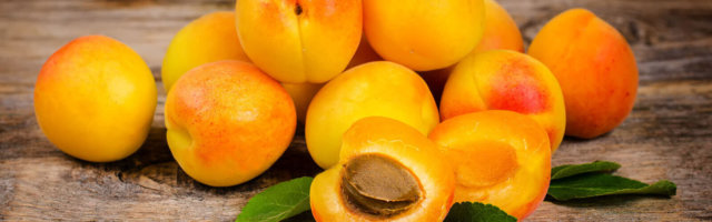 Apricots header background