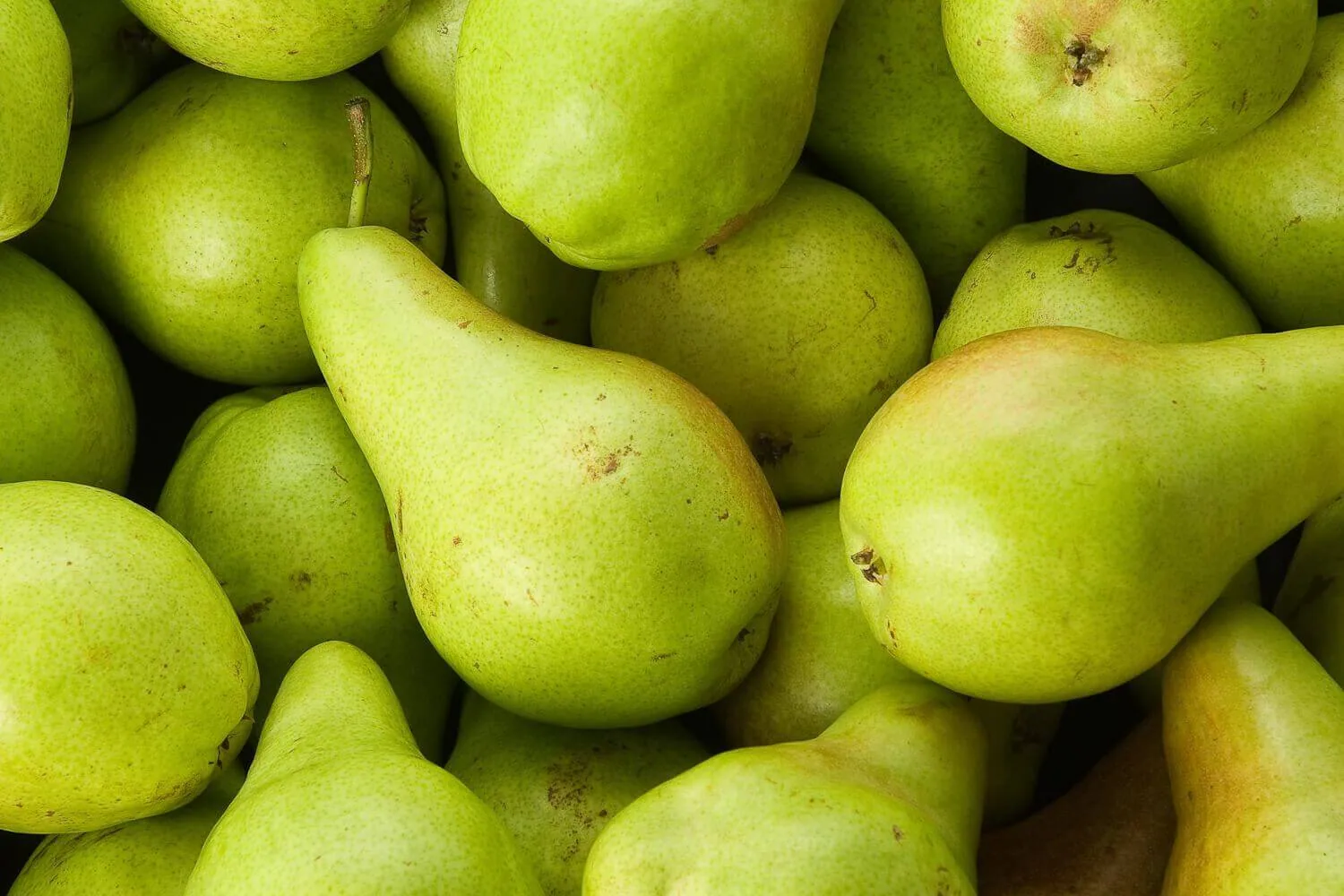 Organic concorde pears