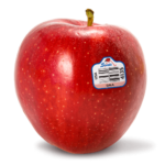 Gala apple