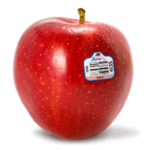 Gala apple