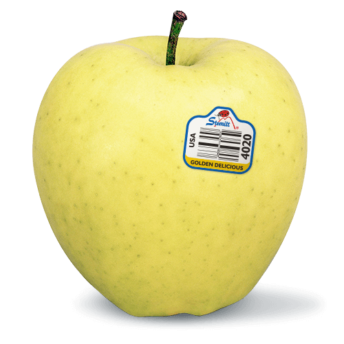 Golden Delicious Apples Information and Facts