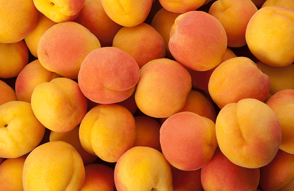 Health Benefits of Apricots