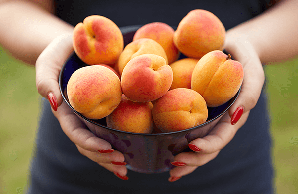 Apricots in a bowl, a great choice for what to eat in summer