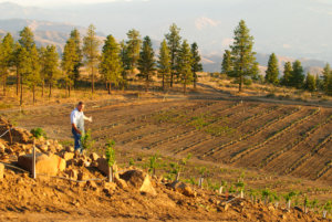 Amigos Orchards