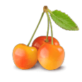 Rainier-cherries