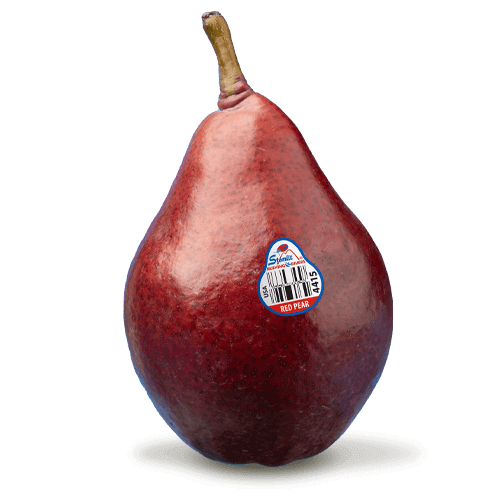 Red-DAnjou_Pear