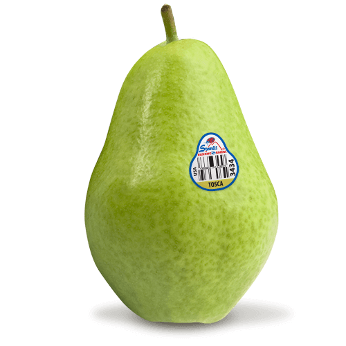 Tosca summer pear