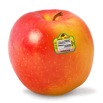 Ambrosia apple
