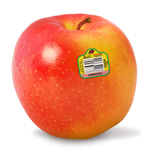 Stemilt World Famous Fruit Organic Cosmic Crisp Apple Punnet