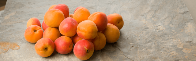 apricots bg