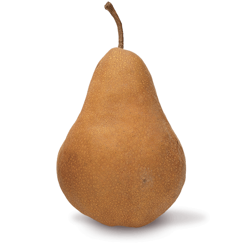 Organic bosc pears
