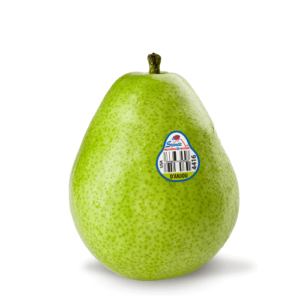 d'anjou pear