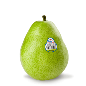 d'anjou pear