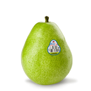 d'anjou pear