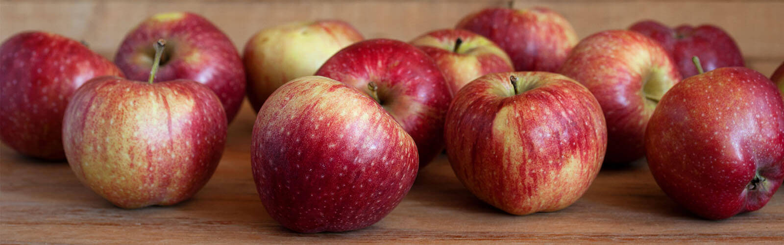 Jonagold Apple Stemilt