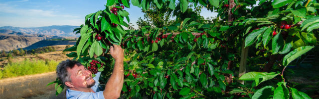 kylespick header background