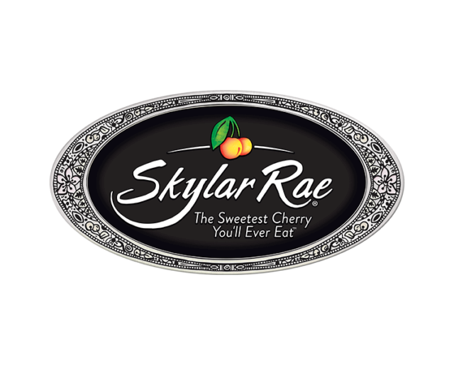 skylarrae header logo