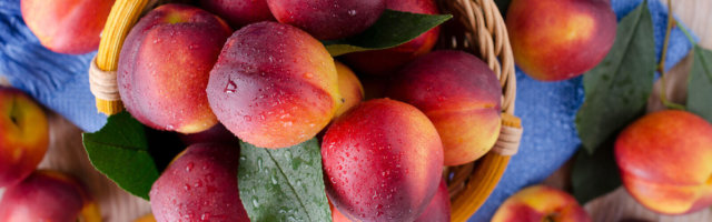 summerfruit healthnutrition header background