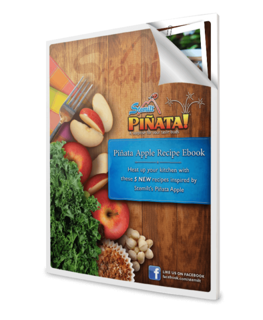 Pinata_eBook_featured