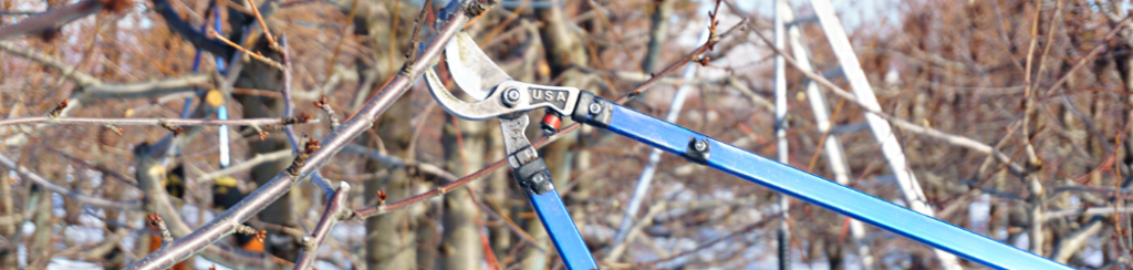 Pruning Header