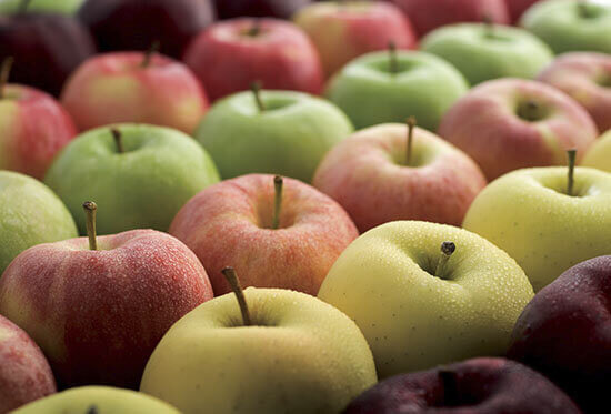 SMLT_BattleofApples_Varieties SMLT BattleofApples Varieties