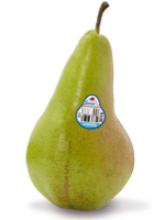 concorde pear