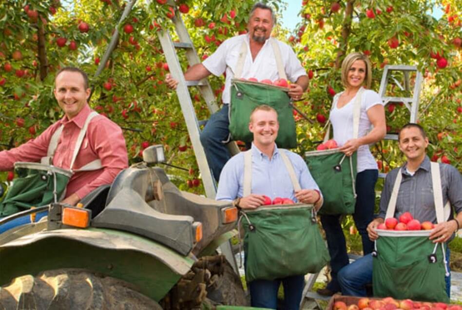 5 Great Tools for Cutting Apples - Stemilt, Washington