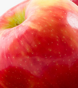 apple fruit jpg