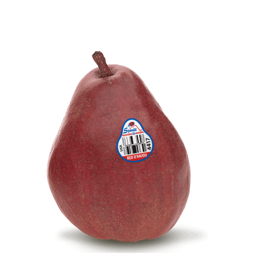 Red-DAnjou_Pear