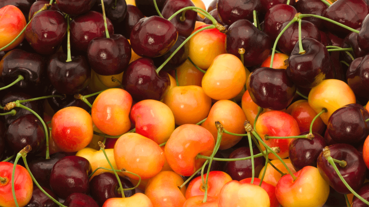 st – cherries header