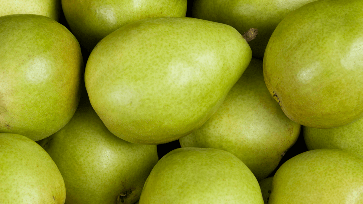 st – pears