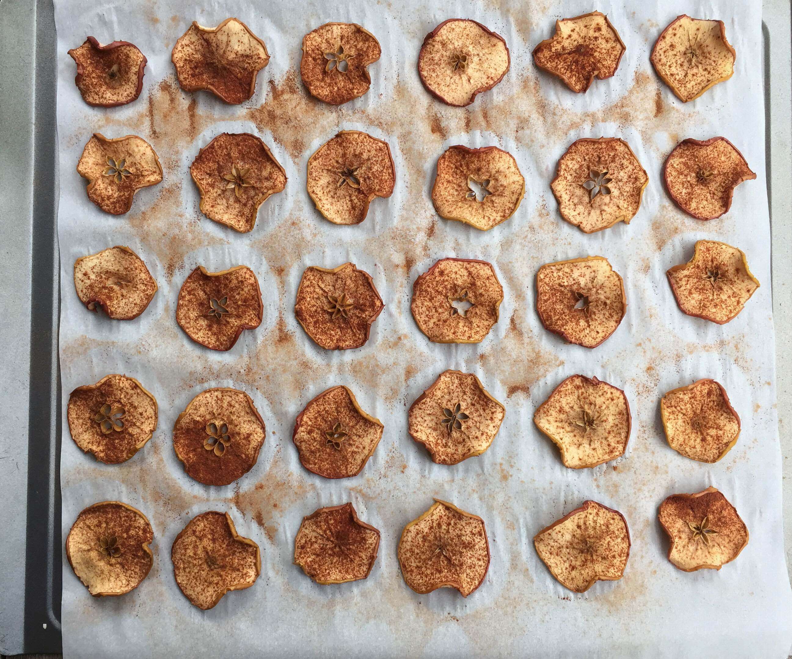 Apple Chips with Peanut Butter Yogurt Dip