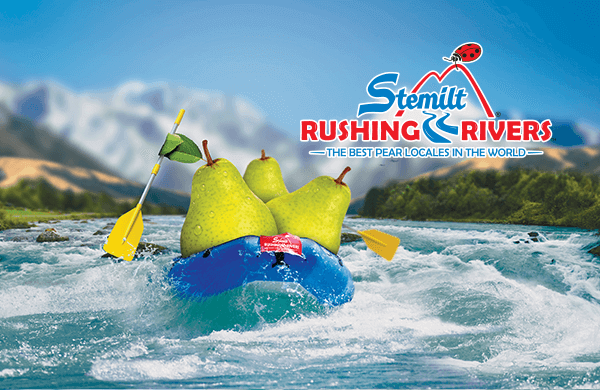 Rushing Rivers Pears | Stemilt