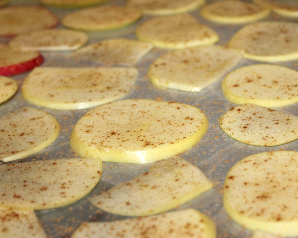 1395 2 1395 CookieSheet