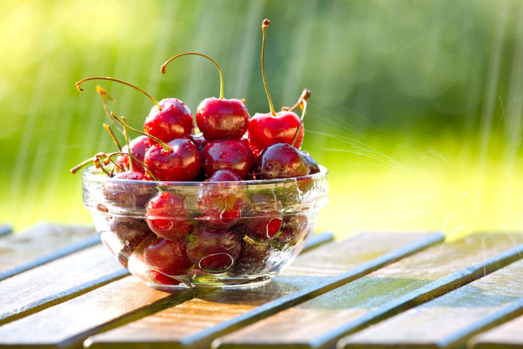 1443 2 1443 bigstockphoto Bowl Of Cherries In Rain 2865002