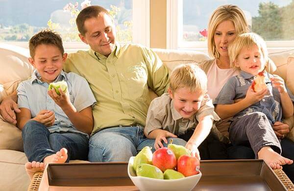 536 fresh fruit living room mathison family