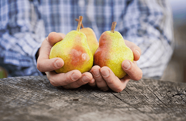 555 Health Nutrition articles PEAR LUNG CANCER