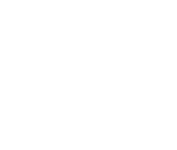 Stemil MasterClass logo white small
