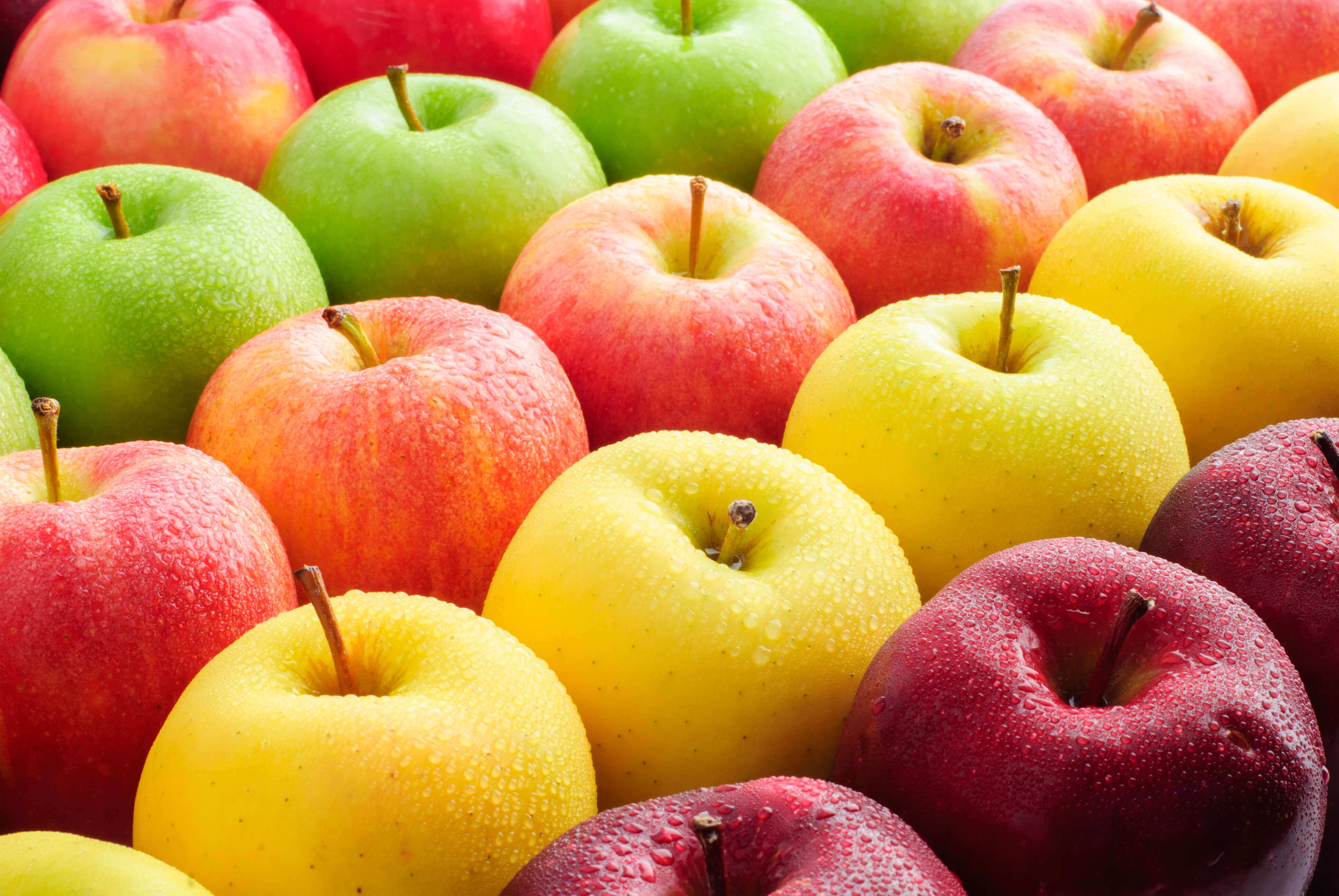 Many Types & Tastes of Apples