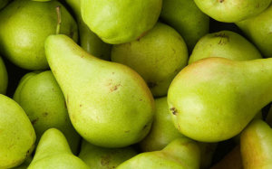 How to Ripen Pears Home Page
