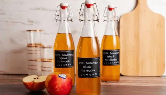 Apple Cinnamon Spiced Kombucha