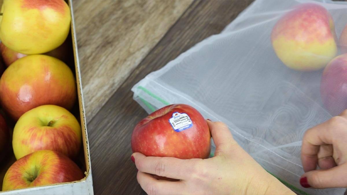 How to Pick the Best Apples