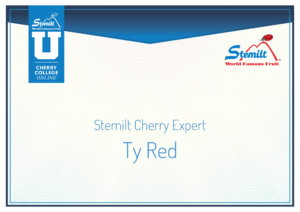Ty Red Stemilt Cherry Expert