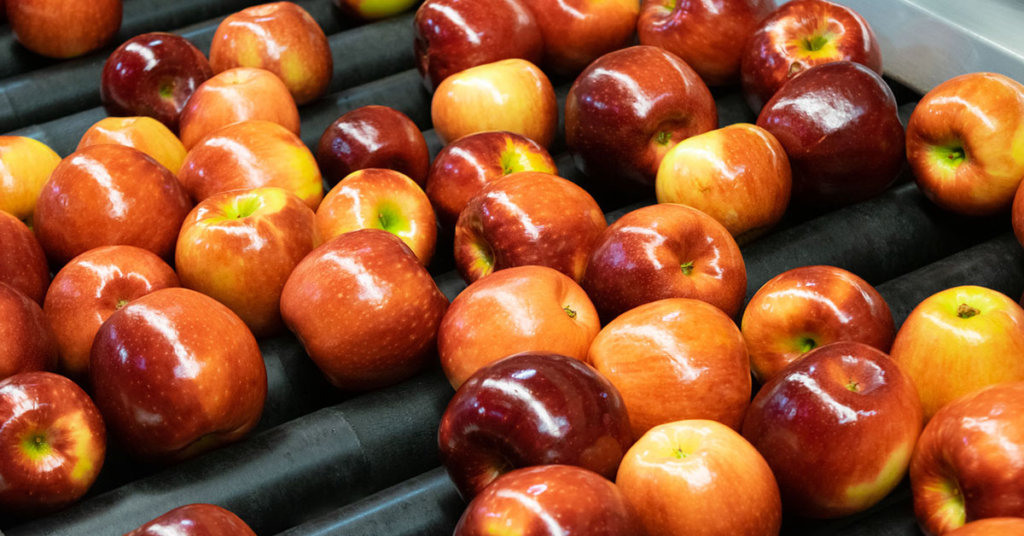 Cosmic Crisp Apples Become Year-Round Variety and Catches Organic Ring with  Stemilt's EZ Band - Perishable News